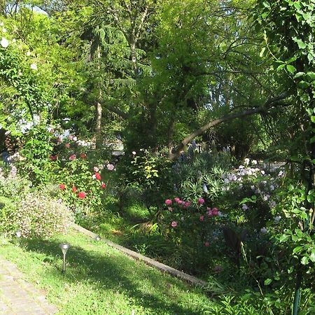 אולברסטון Westella Colonial B&B Accommodation מראה חיצוני תמונה